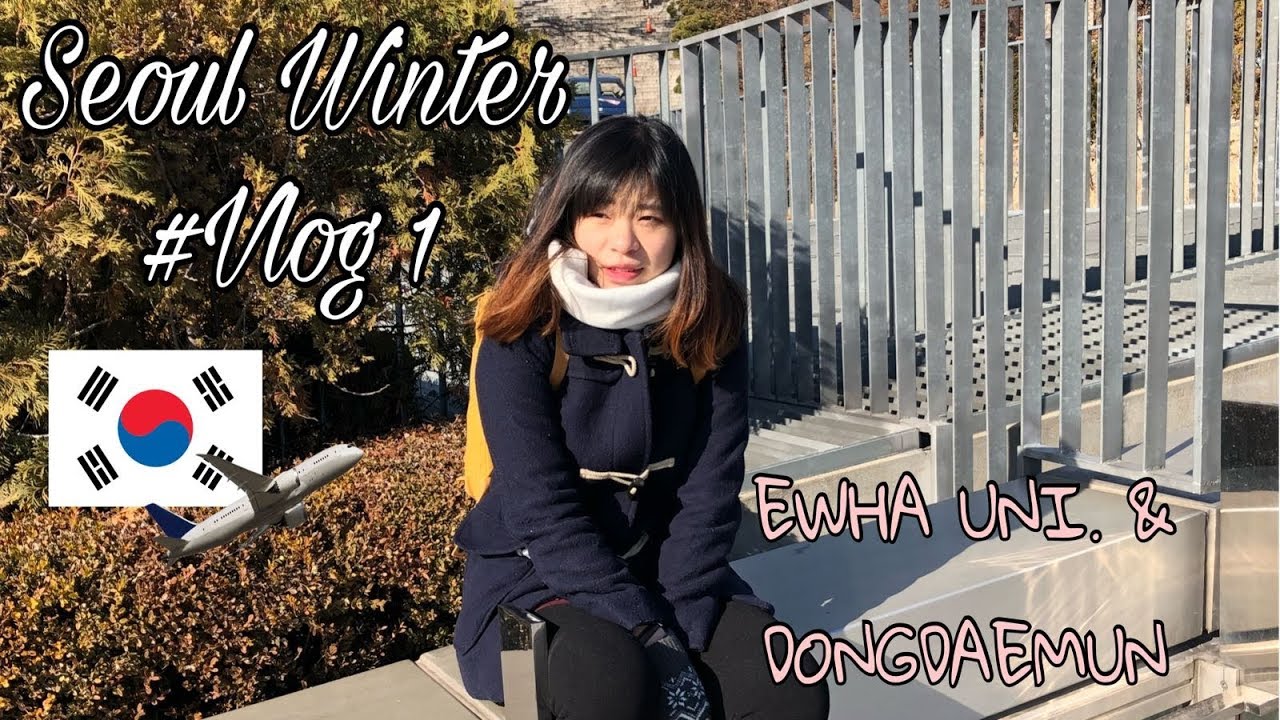 KOREA WINTER VLOG #1 - BACK TO SEOUL FOR MORE KOREAN STREET FOOD!