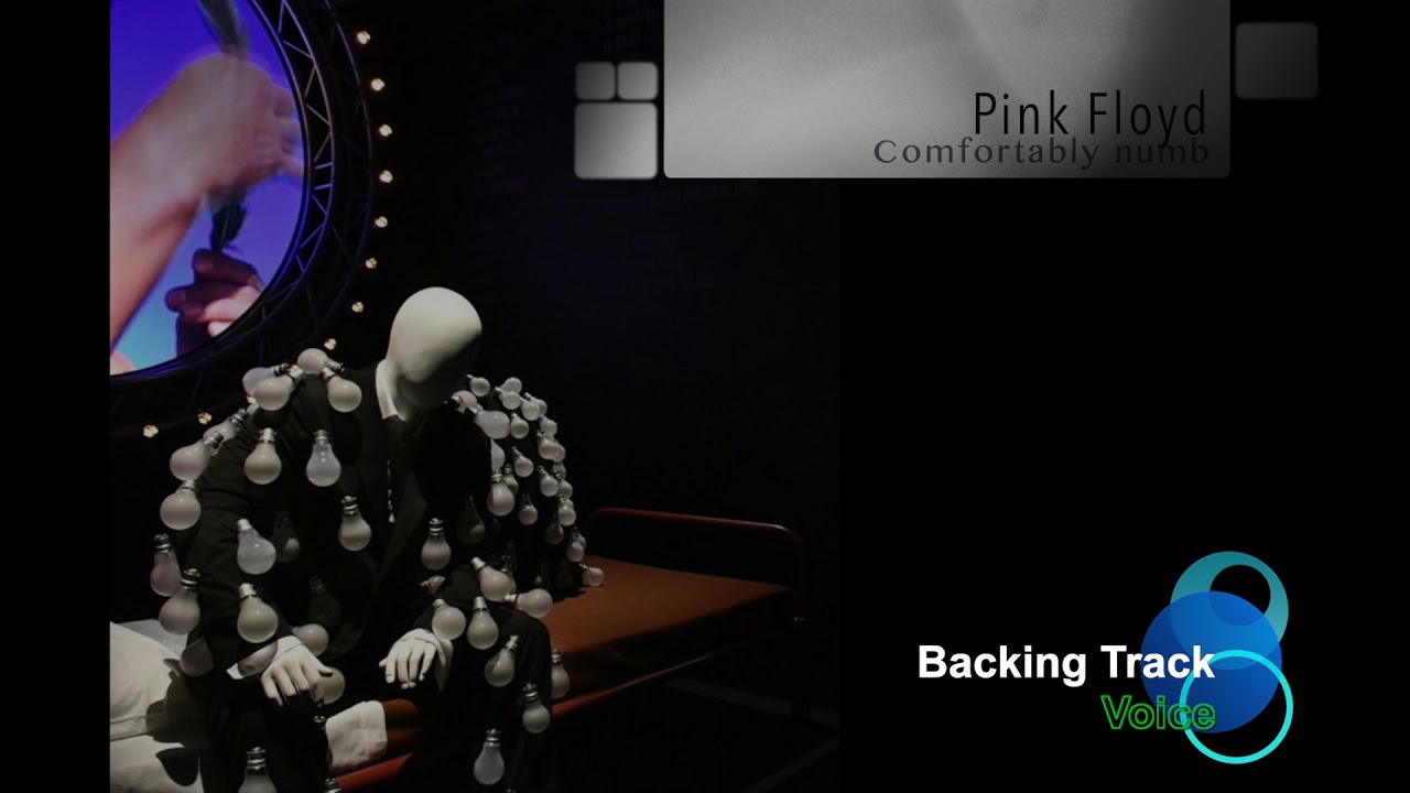 Pink Floyd - Comfortably numb - Backing Track (voice)