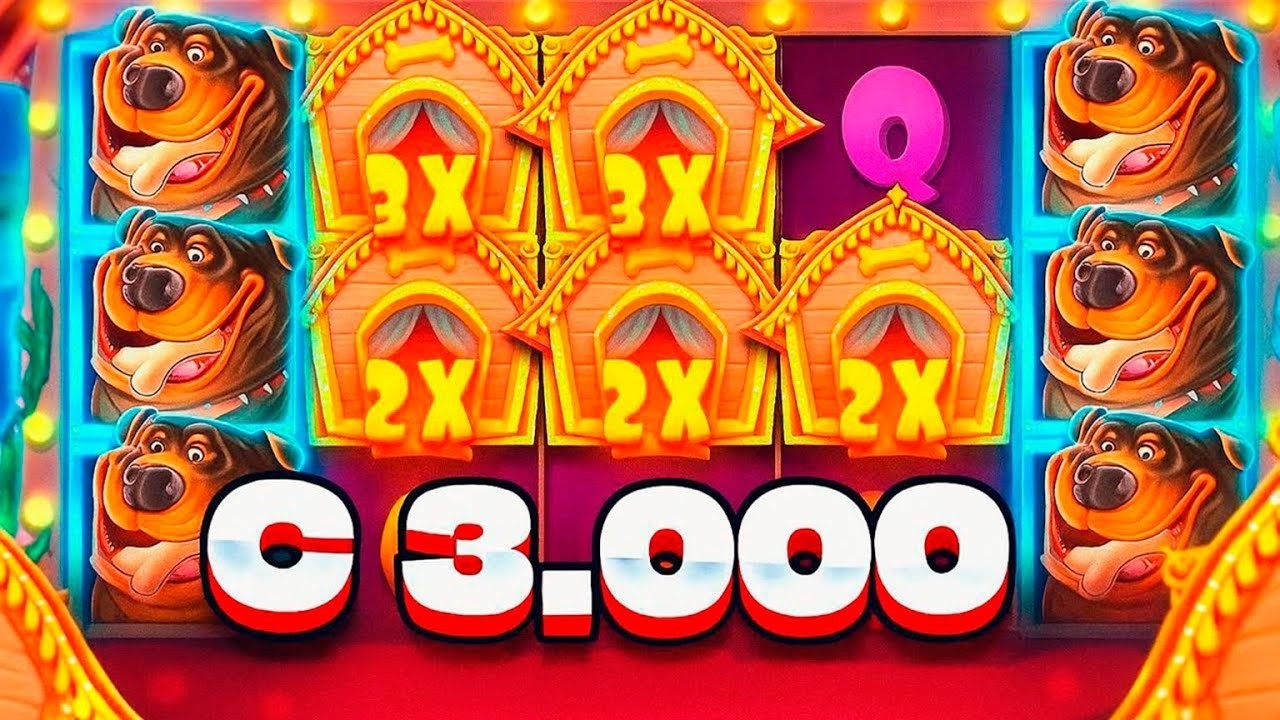 ПОДНЯЛСЯ В СОБАКАХ С 3К! ПОЛЯНА БУДОК В THE DOG HOUSE! ЗАНОСЫ НЕДЕЛИ