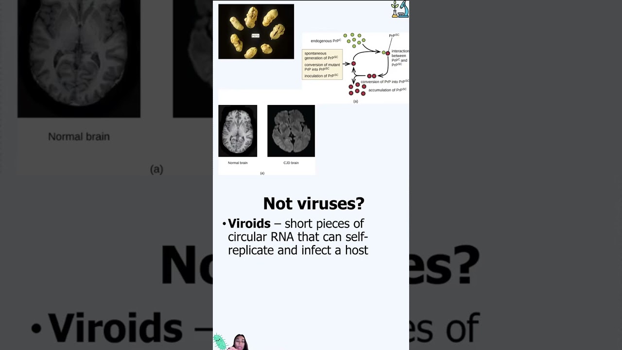 Viruses Mobile-Friendly