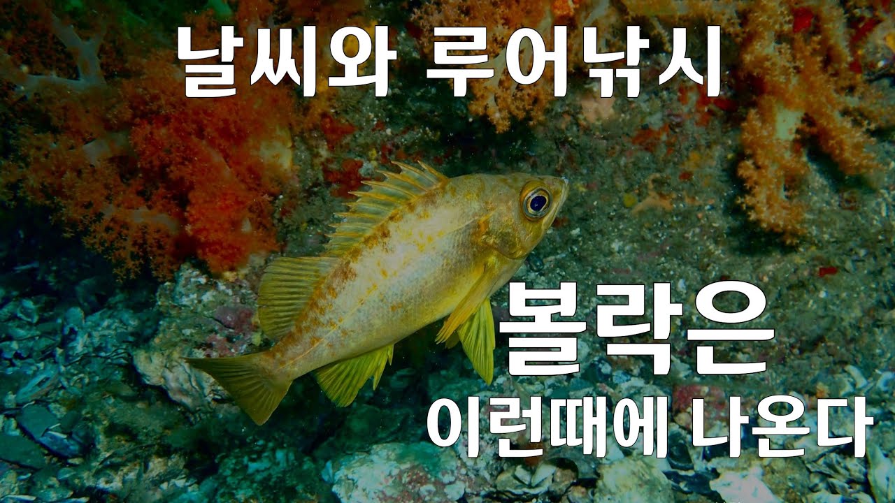 [럭맨의 쉬운 루어낚시] 3편. 2부 날씨와 바다루어낚시 [볼락은 이런 날 잘 나온다]