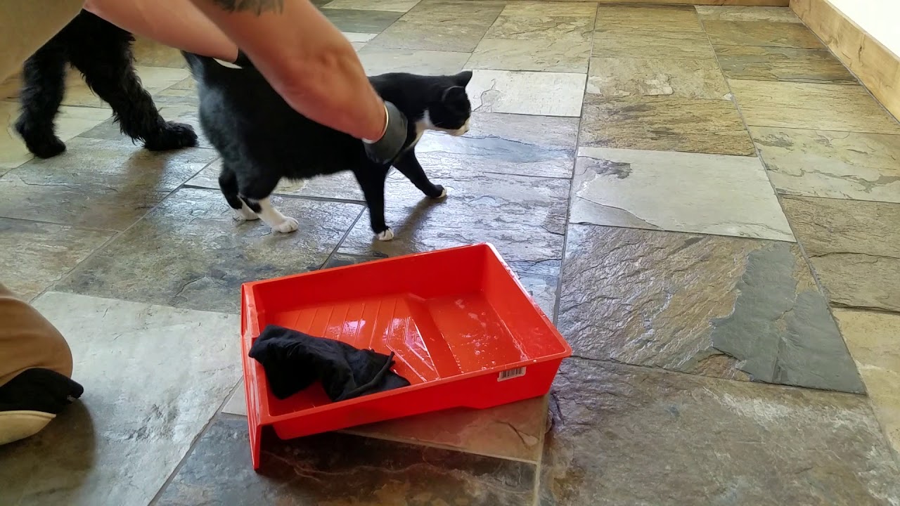 Resealing Slate Tile