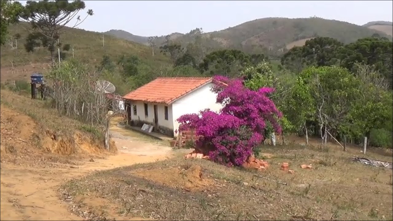 Passeio na roça - Morangal - Liberdade MG