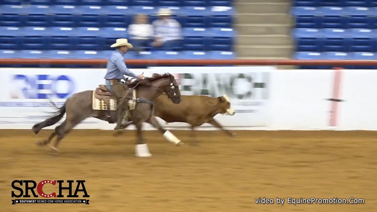 Clinton Anderson and Hulk: 2020 SRCHA Pre-Futurity Cow Work