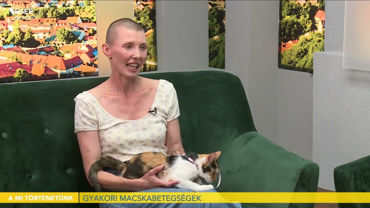Gyakori macskabetegségek - 2022.07.12.