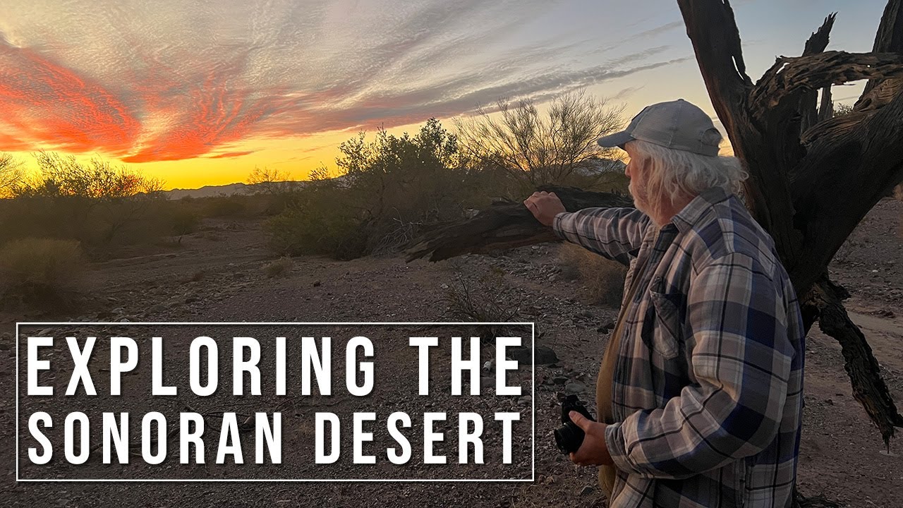 Discovering the Unique Sonoran Desert