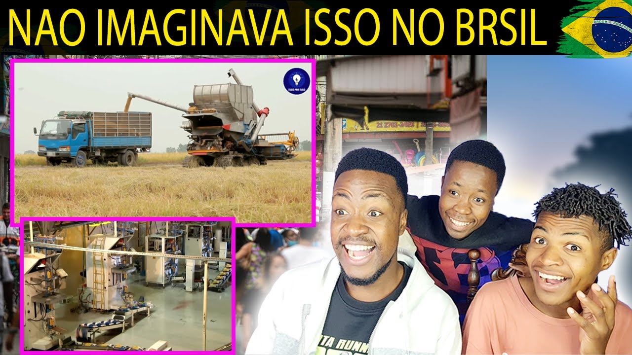 De onde vem o arroz? Veja o passo a passo incrível!