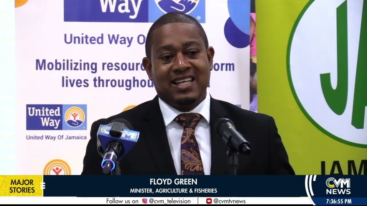 Hurricane Melissa Recovery — A United Way | Business Report: Nov. 11, 2025 | CVM Television Jamaica