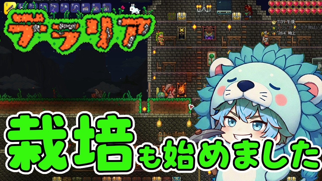 Terraria テラリア  地下探索 & 栽培畑作りなどなど クラシックエキスパート
