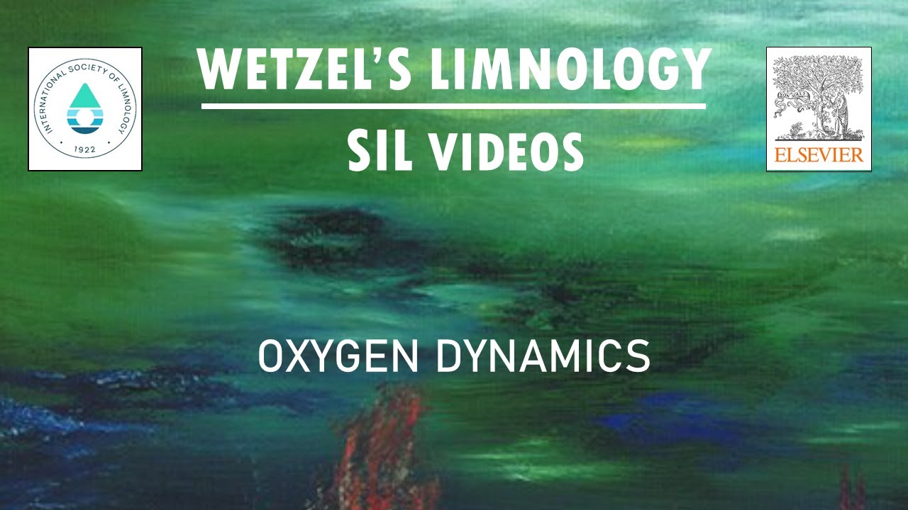 Oxygen Dynamics - Wetzel's Limnology SIL Video