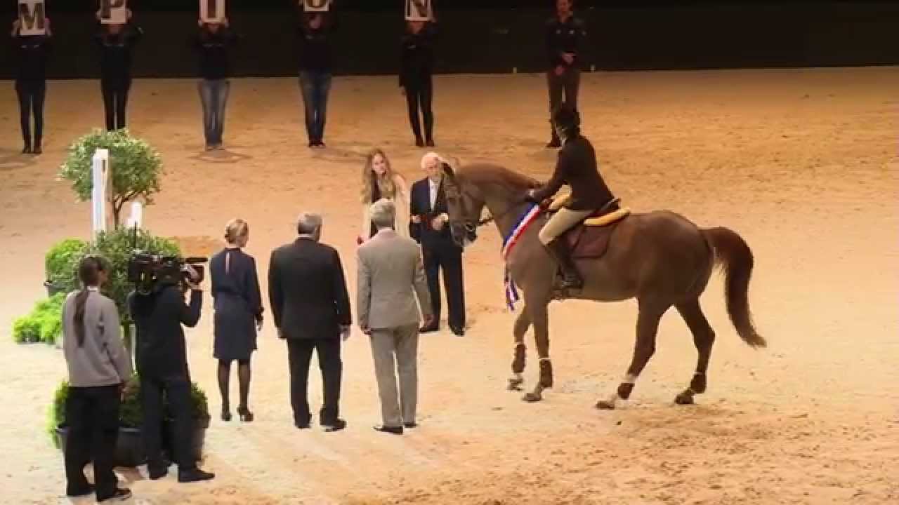 Baloubet Du Rouet Lyon World Cup Final 2014