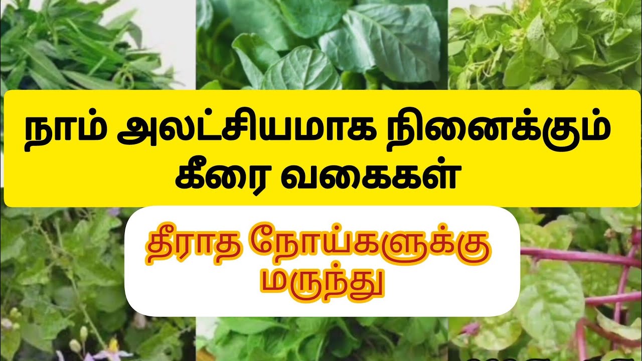 கீரை மருத்துவம் | Keerai Vagaigal And Benefits In Tamil | Greens & Spinach
