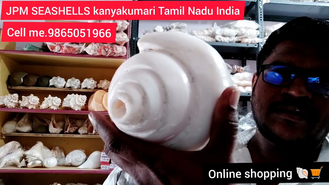 blowing shankh 10, inch 🛒🐚shopping online ॥ अत्यंत दुर्लभ गौमुखी शंख ॥ Original Shankh #seashell  