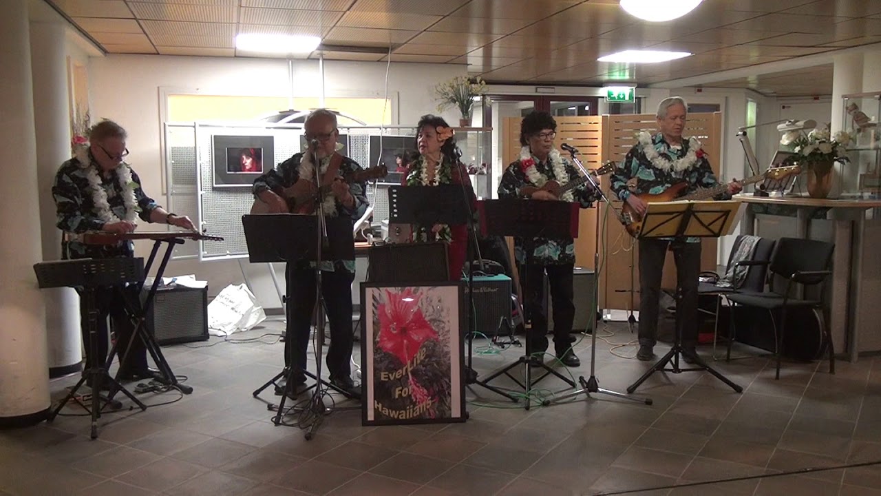 Royal Hawaiian Hula   EverLite For Hawaiians Band at Zoetermeer