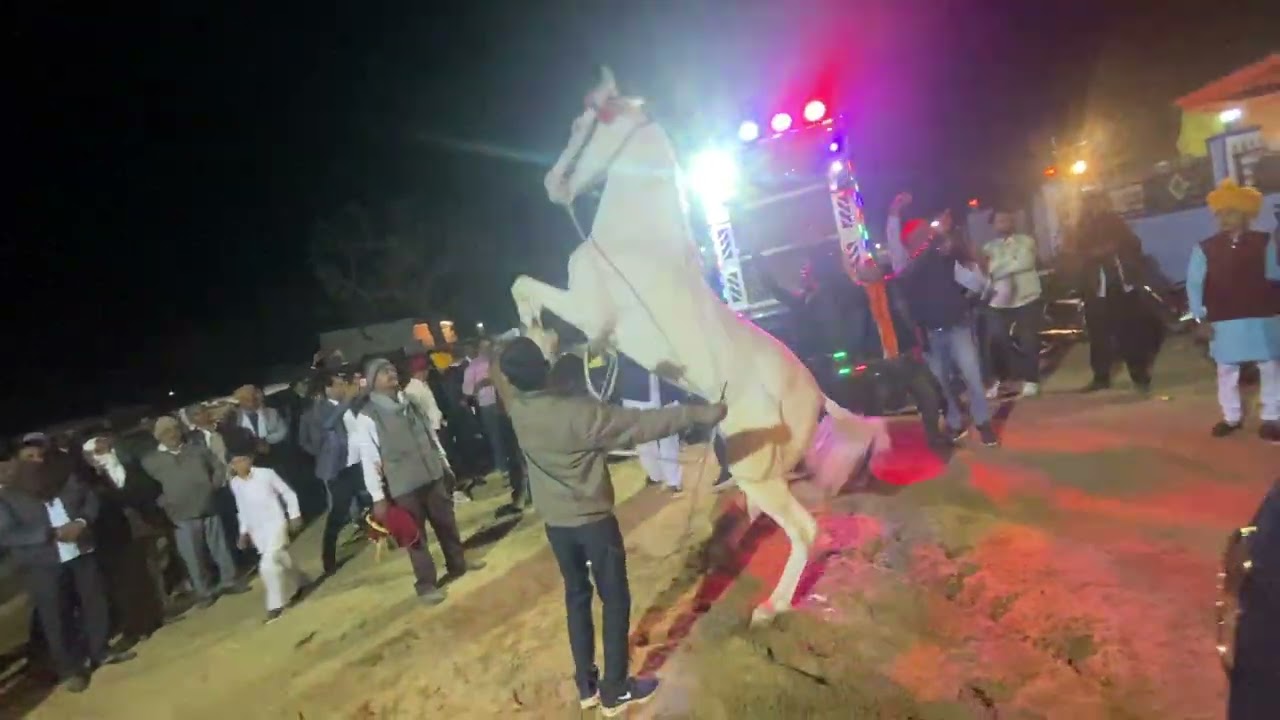 राजस्थान में डांस 