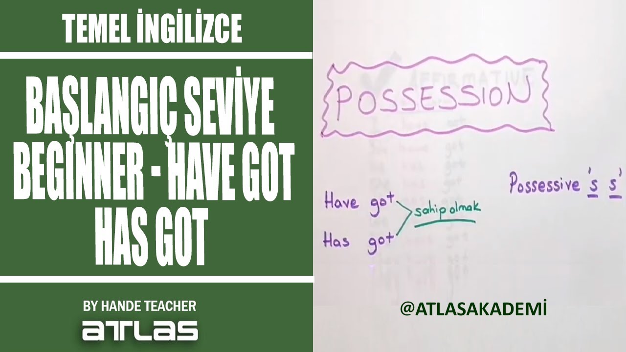 BAŞLANGIÇ SEVİYE l BEGINNER l HAVE GOT l HAS GOT