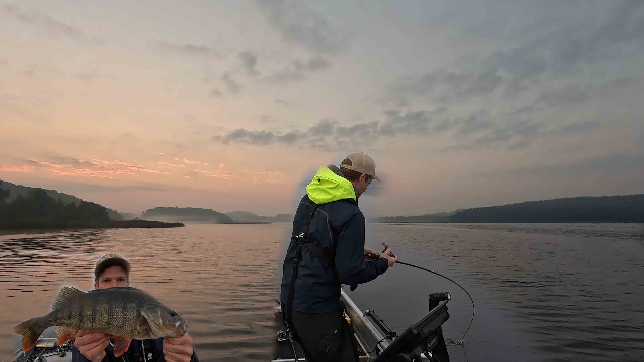Morgonpass efter abborre i b&ouml;rjan av september - insj&ouml;