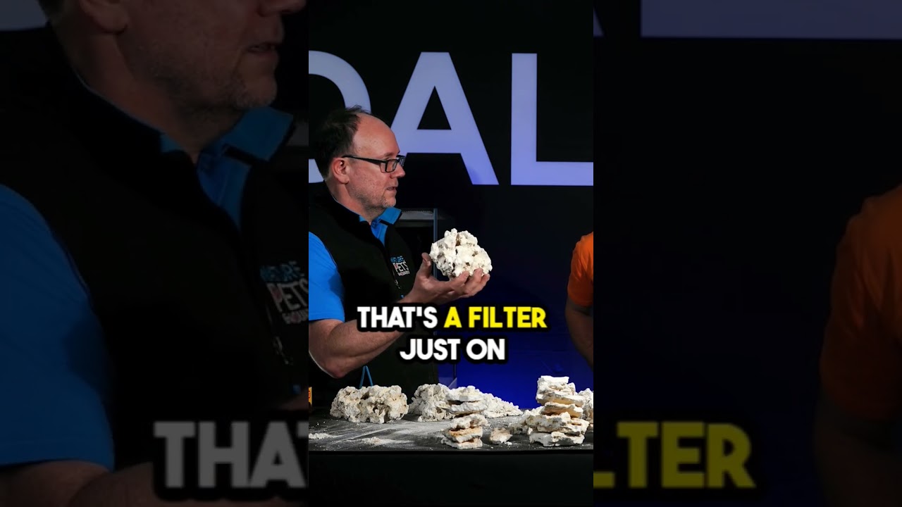 The Best Starting Point For Your First Aquarium - Marco Rocks #12weekreef