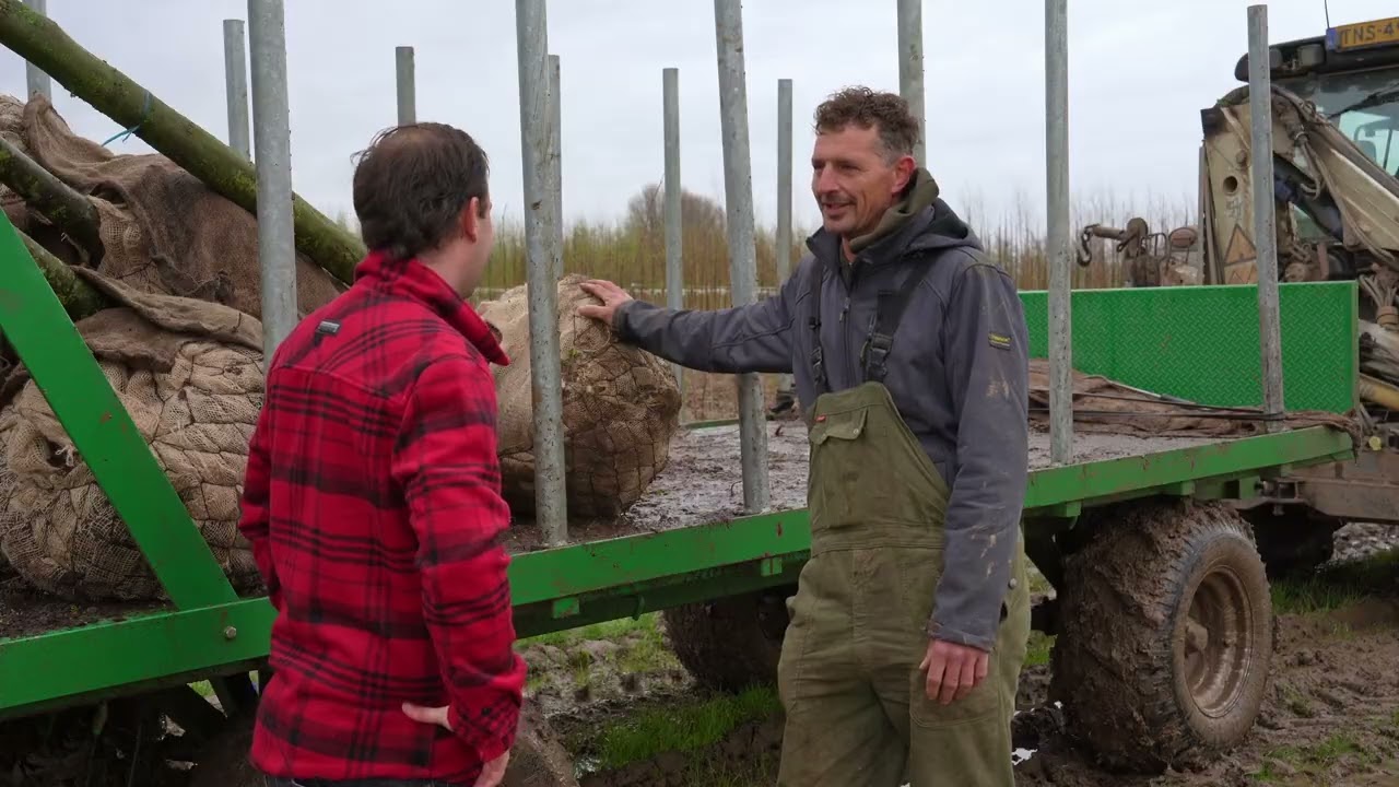 De boomkwekerij van Directplant