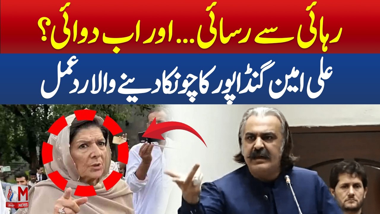 From ‘Release’ to ‘Relief’? Ali Amin Gandapur Reacts to Aleema Khan’s Statement on Khan | M News