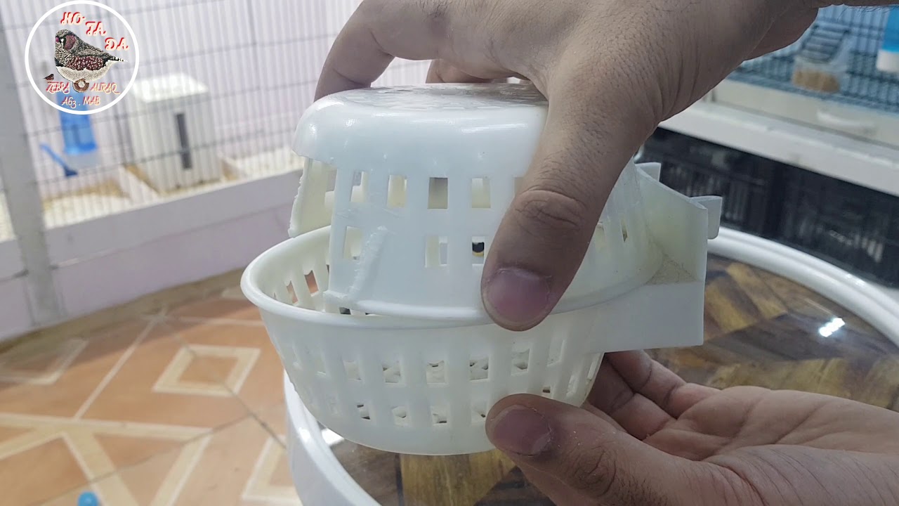 حل لمشكله عدم دخول الطيور zebra finch للعش وجمع الخيوط . والأعشاش الي استخدمهه لطيوري