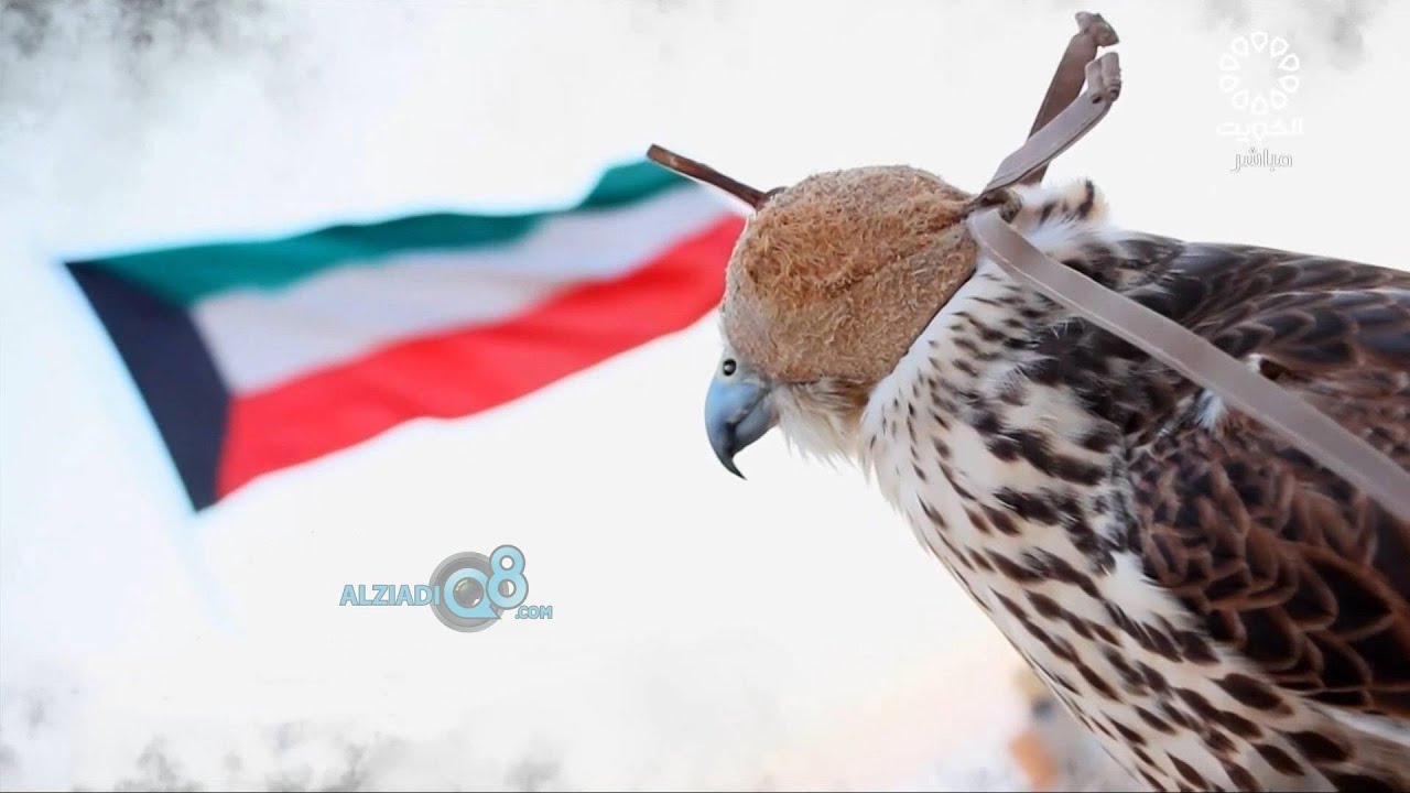 تحديث لأغنية (بلادي الكويت سلمتِ لنا) بمناسبة الذكرى الـ32 للغزو العراقي الغاشم لدولة الكويت