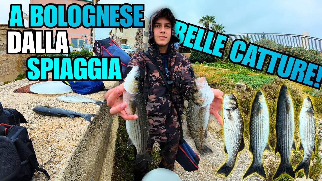 Questi pesci Tirano come TRENI! | Bolognese dalla Spiaggia e Scogliera