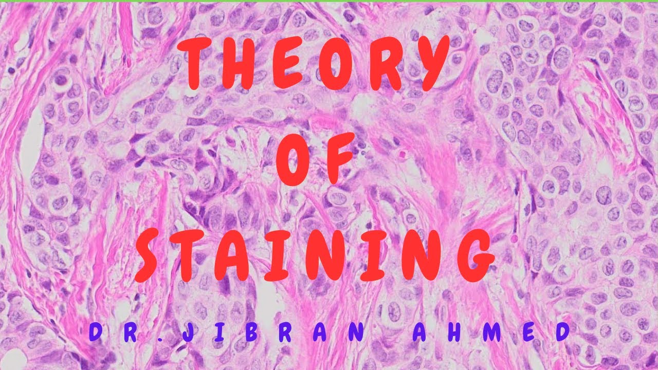 THEORY OF STAINING II BASIC TISSUE PROCESSING TECHNIQUES II  @DR JIBRAN AHMED