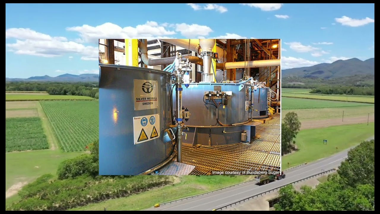 Group 14-Zhao Ziqi & Yan Yingxue_Bundaberg Sugar SDG12