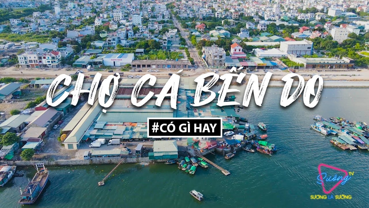 CHỢ CÁ BẾN DO CÓ GÌ HAY?!| Sướng TV