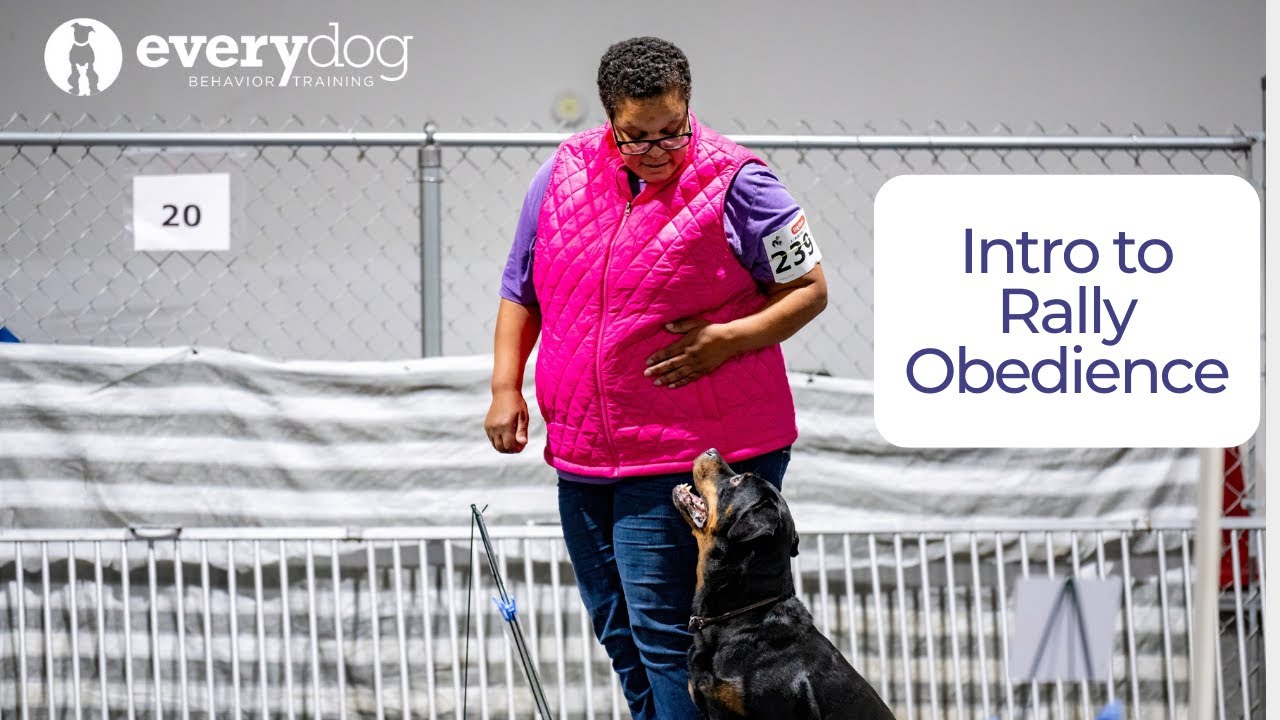 Intro to Rally Obedience
