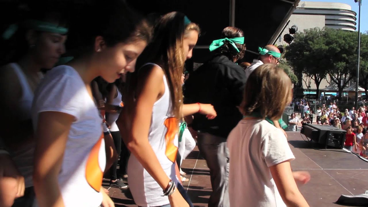 Flash Mob: Mou-te pel Voluntariat!