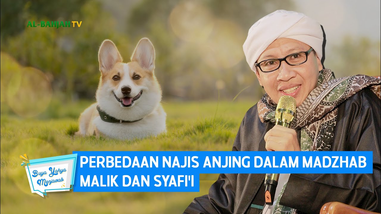 Perbedaan Najis Anjing dalam Madzhab Malik dan Syafi'i | Buya Yahya Menjawab