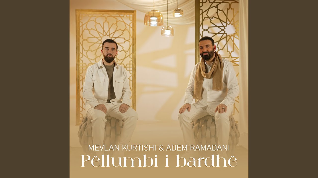 Pëllumbi i bardhë