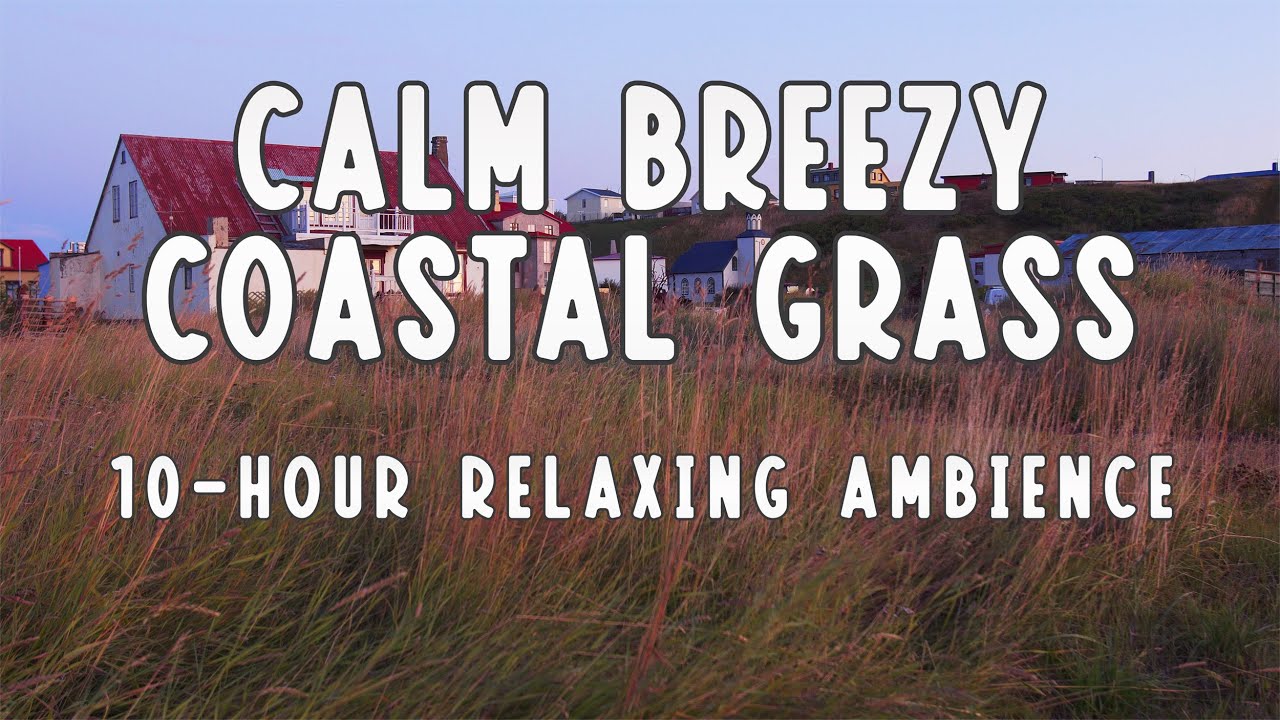 Calm Breezy Coastal Grass 🌬- Beach Sounds for Relaxing/Focus/Background - 10 Hour Ambience