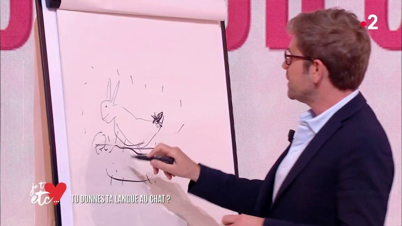 Pictionary : les expressions avec des animaux ! - Je t'aime etc...