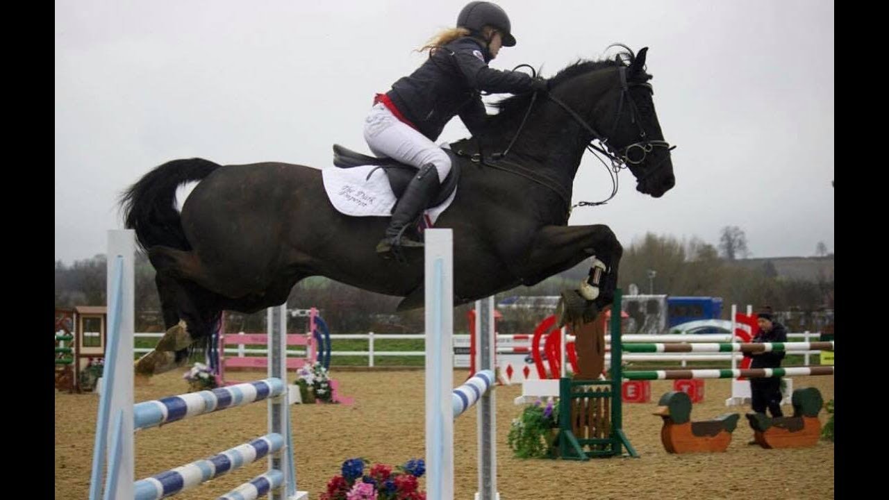 The Dark Emporer [A Journey like no other]