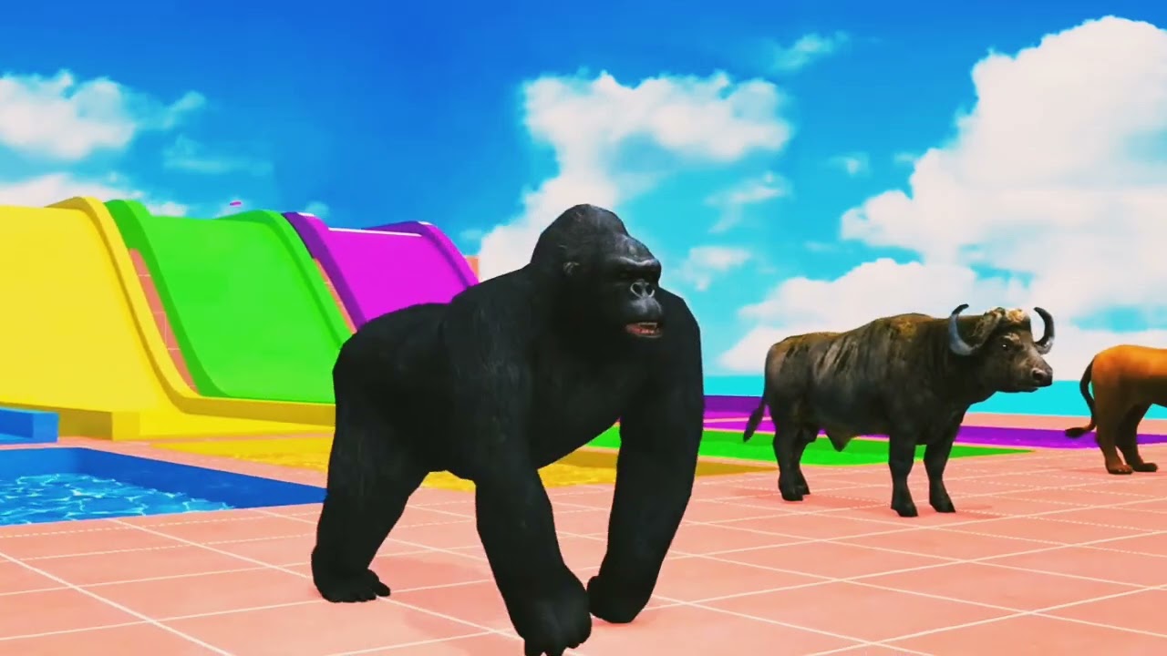 Long slide animal cartoon animation