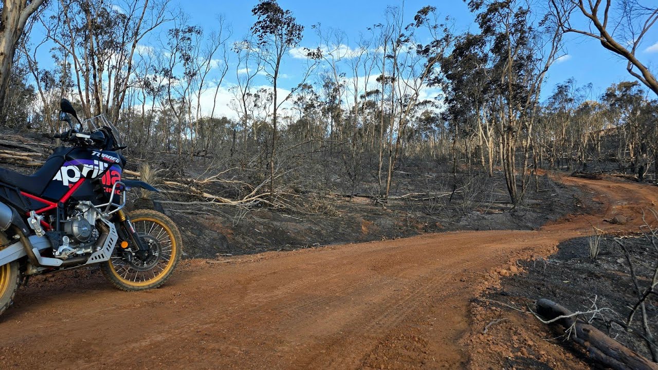 Bushfire hit our property.... Riding through the fire affected area on my Aprilia Tuareg Rally