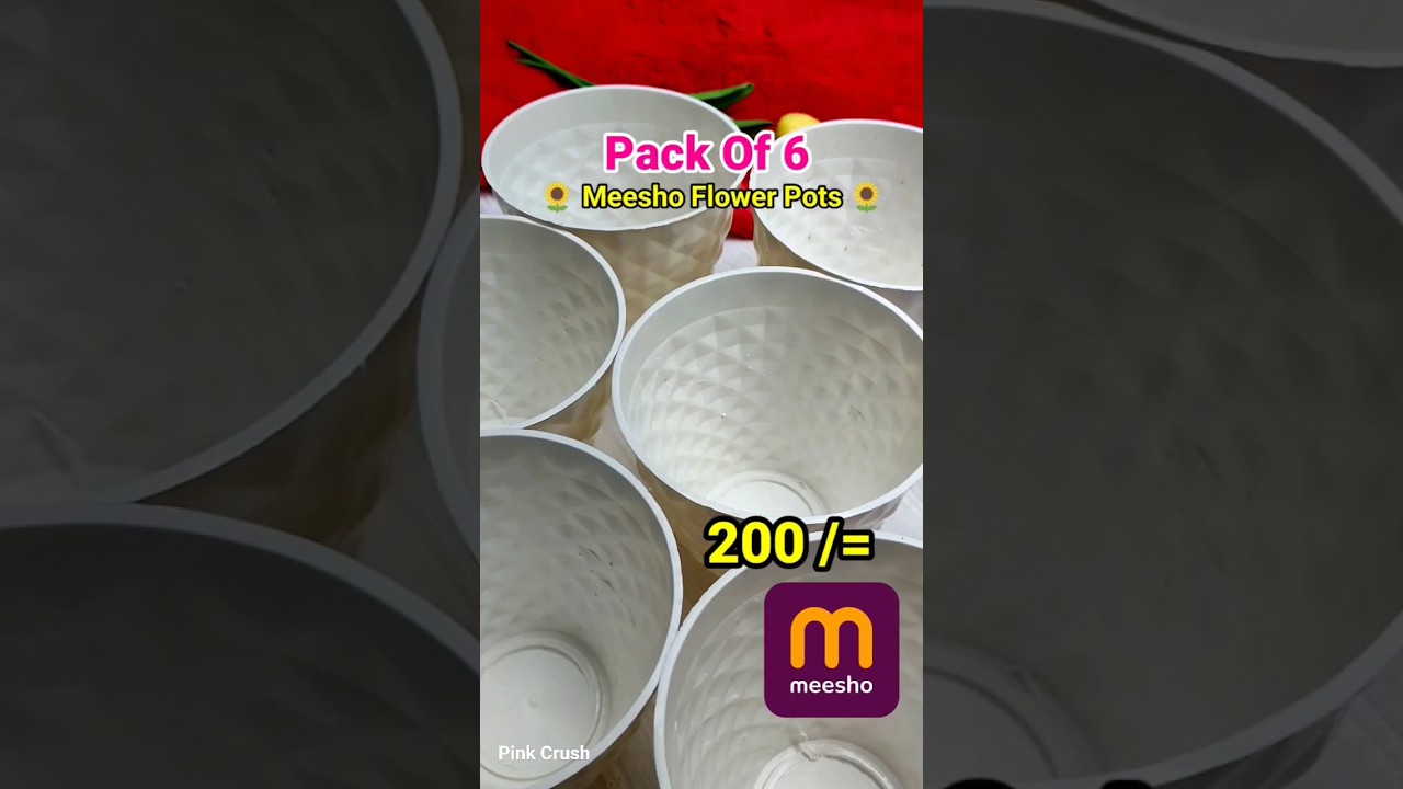 Pack Of 6 🤯 Flower Pots Only 200 /= Meesho Finds | Meesho Flower Pots #meeshohaul #meeshofinds #yt