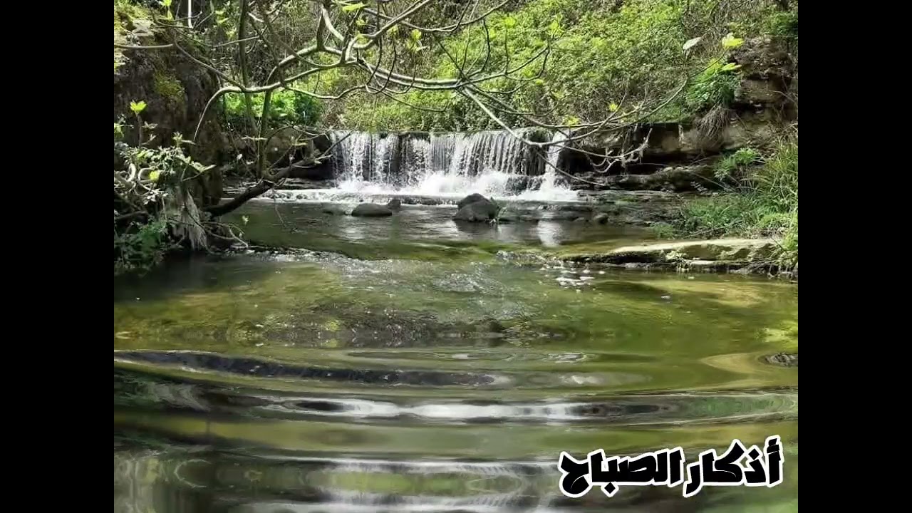 أذكار الصباح  راحة نفسية وطمأنينة تلاوة هادئة
