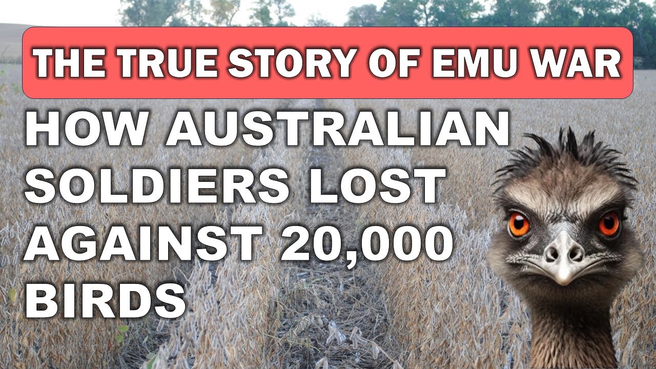 The True Story of The Emu War | Australian Soldiers Against Birds | Sarim Khan