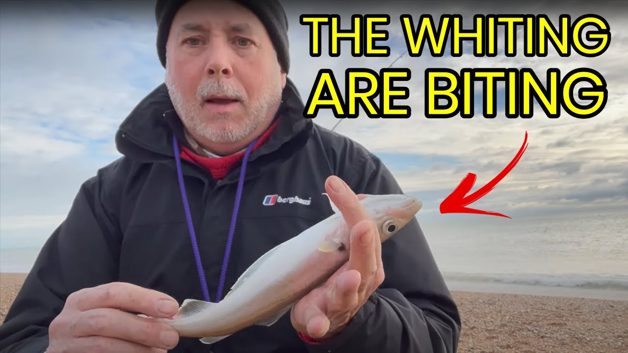 Do I Know How to Catch Whiting From the Beach? UK Beach Fishing in Pevensey