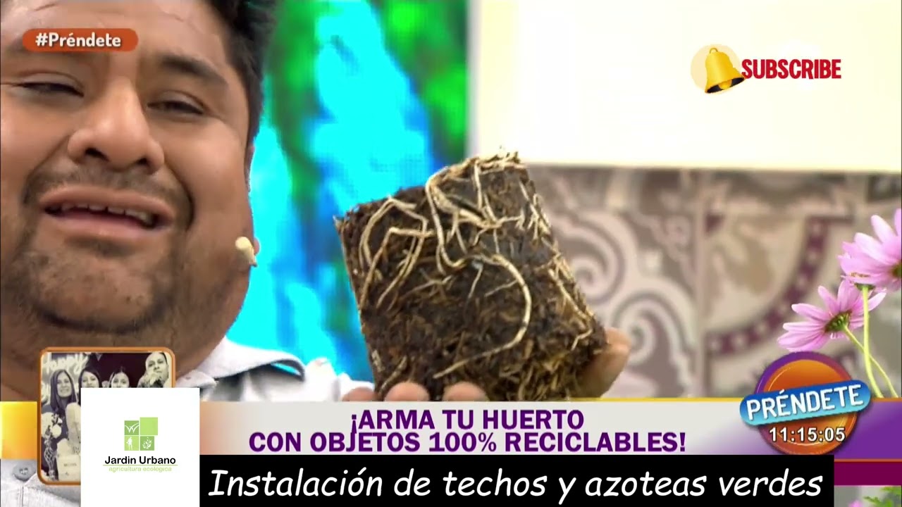 Aprende a hacer tus propias macetas con materiales reciclados