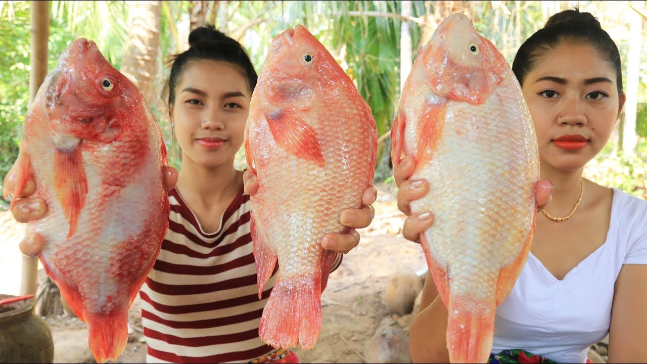 Yummy cooking grilled fish recipe - Cooking skill