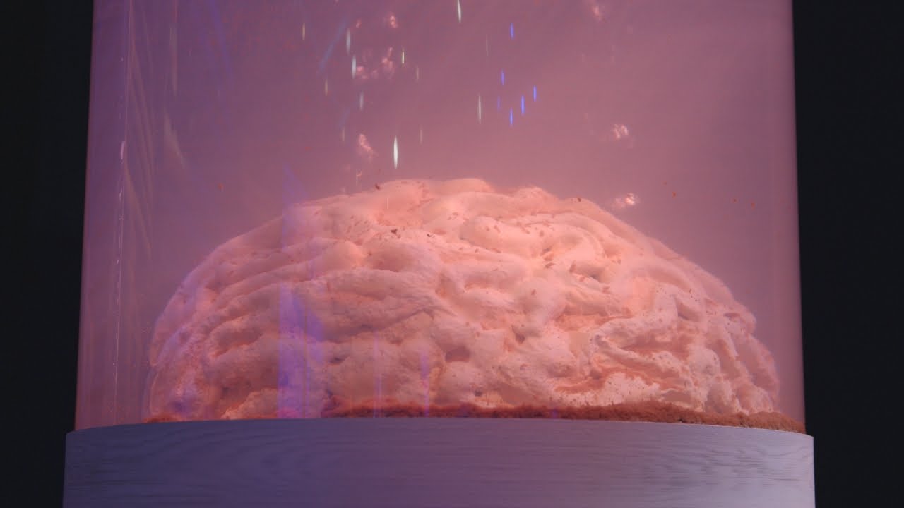 Tina Gives a Whole New Meaning to Brain