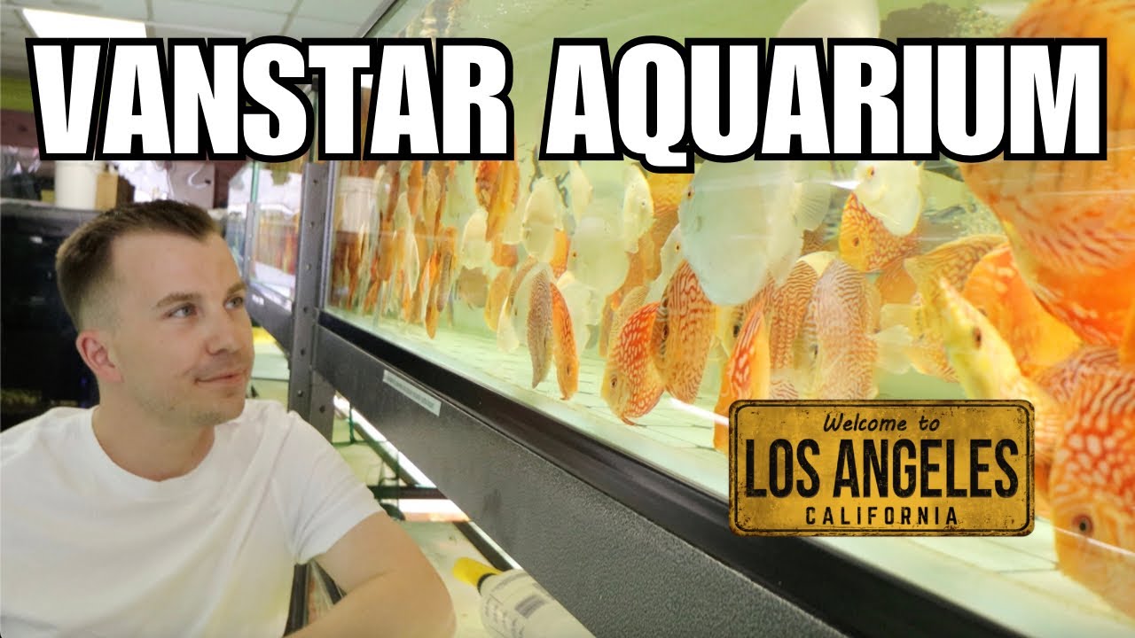 $36,000 IN ONE FISH TANK!! Rare SoCal Fish Store Tour!!
