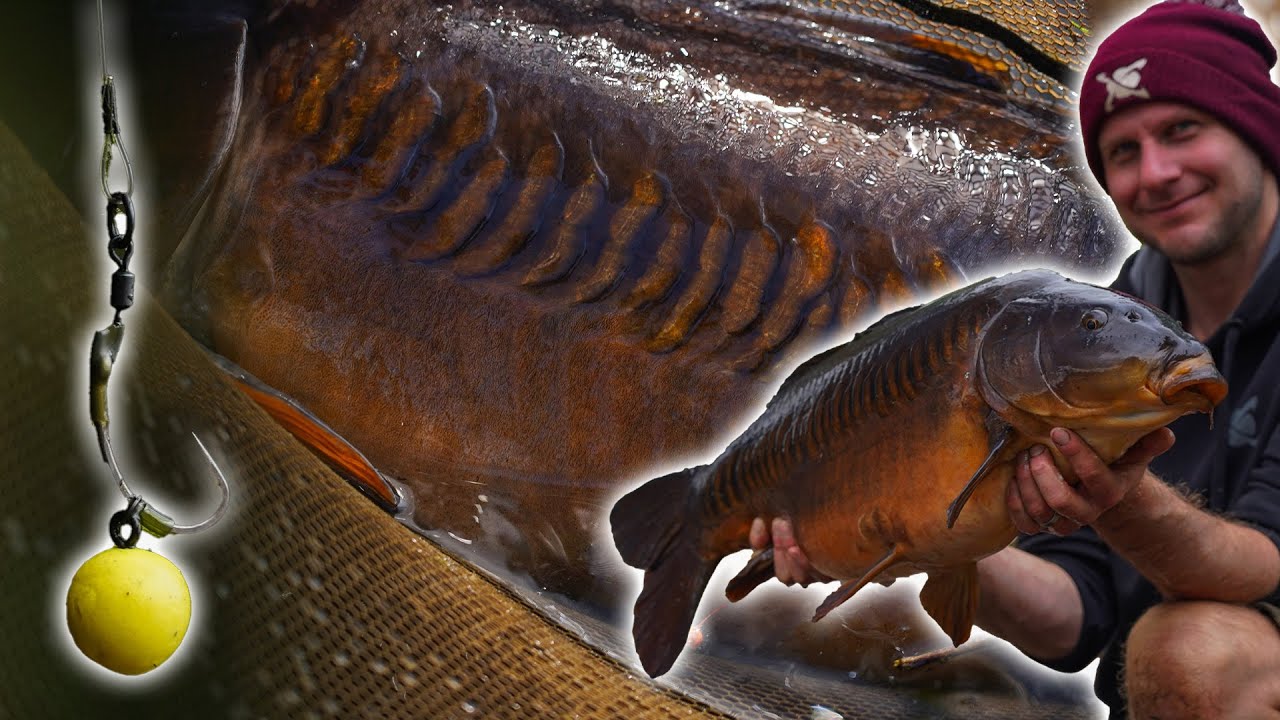Carp Fishing -When It All Comes Good- The Highs and Lows- In Session with Kev Hewitt 😭🥳