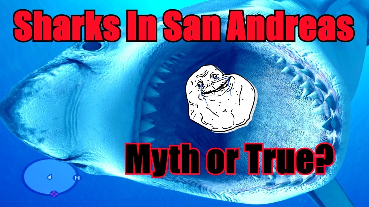 Were There Really Sharks In GTA San Andreas?