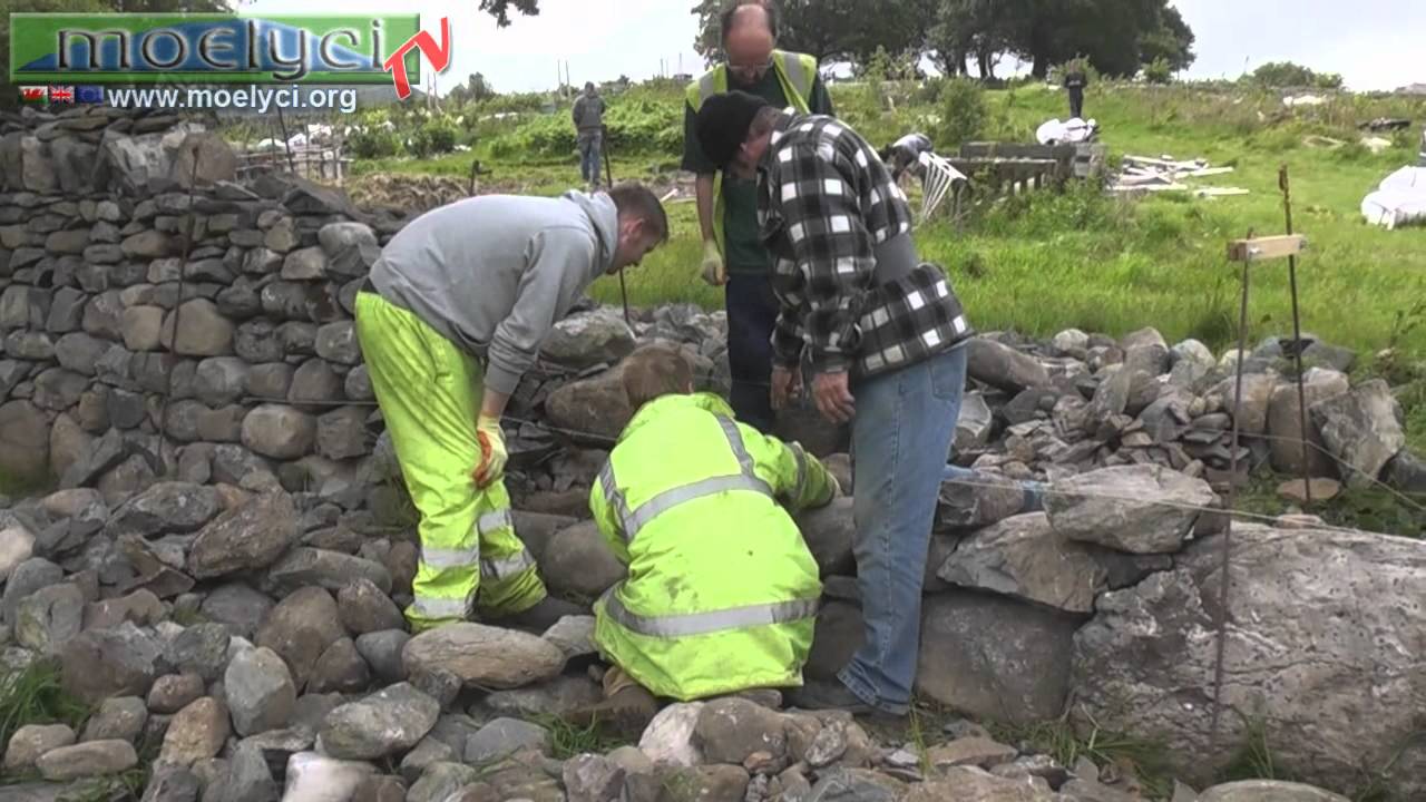 Moelyci Dry Stone Wall Courses in Moelyci Environmental Center